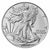 2024 1 oz American Silver Eagle Mint State Condition