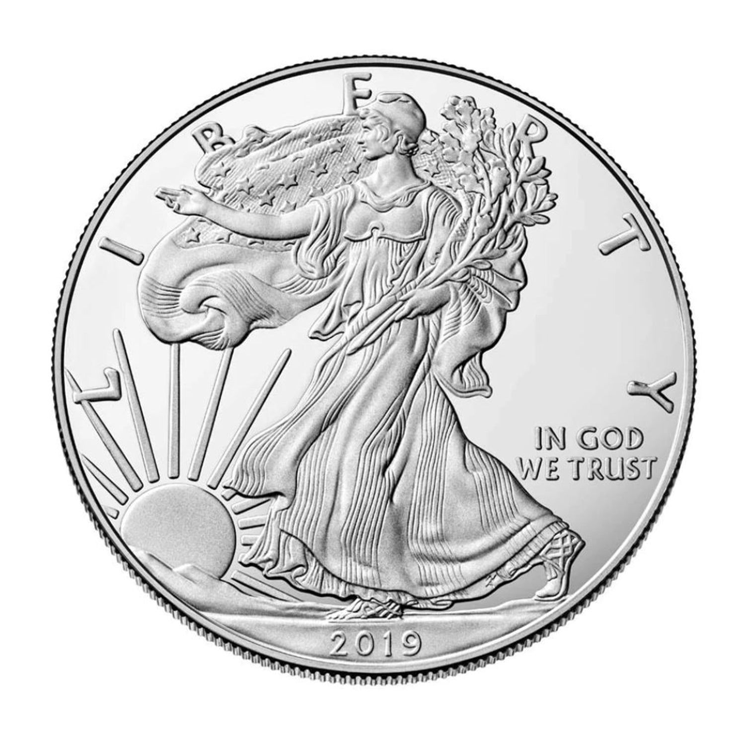 2019 1 oz American Silver Eagle Mint State Condition