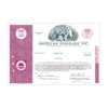American Standard Inc. Stock Certificate // 1-99 Shares // Purple // 1960s-70s