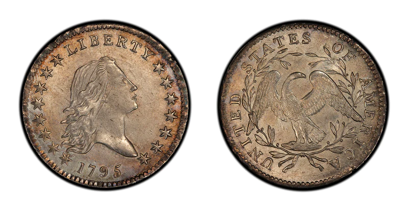 Flowing Hair Half Dollar