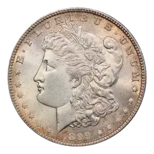 1899 $1 (3)