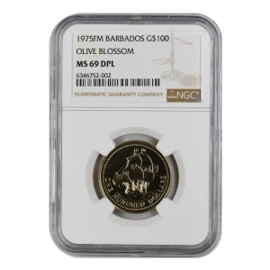 1975FM OLIVE BLOSSOM DPL (3)