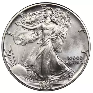 1989 1 oz American Silver Eagle Mint State Condition (2)