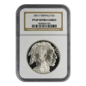 2001 BUFFALO ULTRA CAMEO (2)