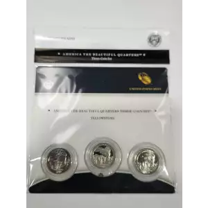 2010 Yellowstone America The Beautiful 3-Coin Quarter Set