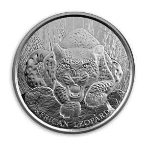 2017 Ghana African Leopard BU (2)