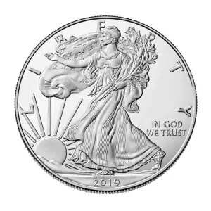 2019 1 oz American Silver Eagle Mint State Condition (3)