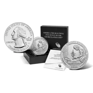 2020-P 5 oz Silver America the Beautiful Quarter, M. Rockefeller, (Burnished)