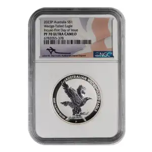 Australian Wedge-Tailed Eagle (2)