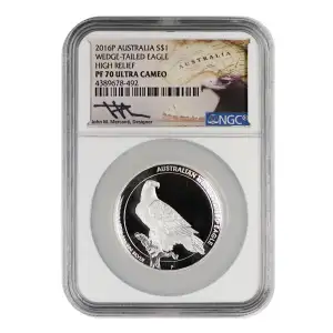 Australian Wedge-Tailed Eagle