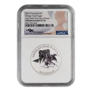 Australian Wedge-Tailed Eagle