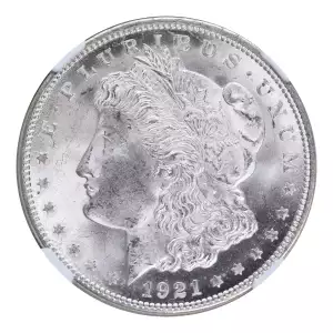 Morgan Silver Dollar (4)