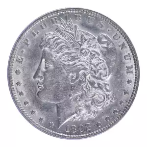 Morgan Silver Dollar (4)