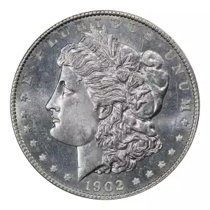 Morgan Silver Dollar (2)