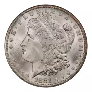 Morgan Silver Dollar (4)