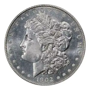 Morgan Silver Dollar (2)