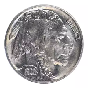 Nickel Five Cent Pieces-Indian Head or Buffalo (2)