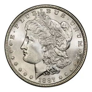 Morgan Silver Dollar (4)