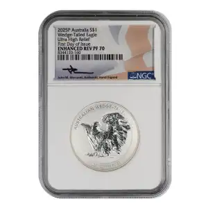 Australian Wedge-Tailed Eagle (2)