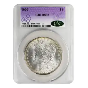 Morgan Silver Dollar (2)