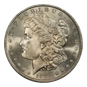 Morgan Silver Dollar (4)