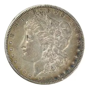 Morgan Silver Dollar (2)