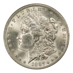 Morgan Silver Dollar