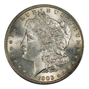 Morgan Silver Dollar (3)
