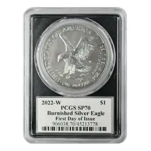 2022-W $1 Burnished Silver Eagle First Day of Issue Emily Damstra Flag (2)
