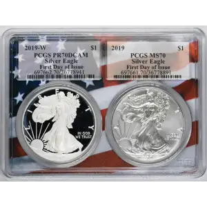2019 $1 Silver Eagle First Day of Issue Picture Frame Flag Multiholder