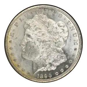 Morgan Silver Dollar (2)