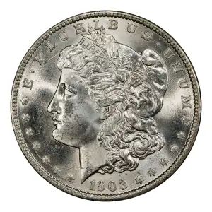 Morgan Silver Dollar (4)
