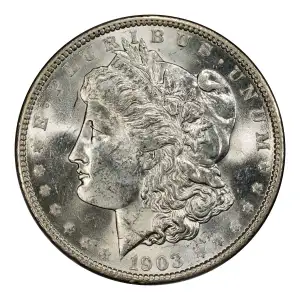 Morgan Silver Dollar (3)
