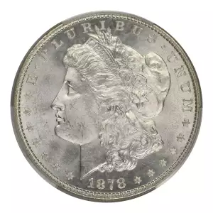 Morgan Silver Dollar (4)