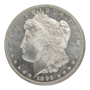 Morgan Silver Dollar (4)