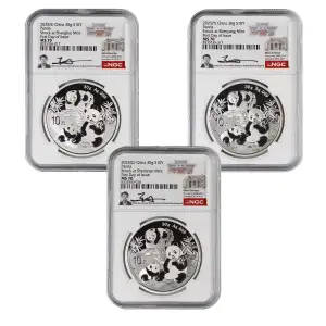 Chinese 30g Silver Panda (4)