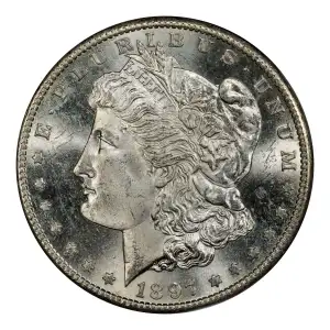 Morgan Silver Dollar