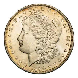 Morgan Silver Dollar (3)
