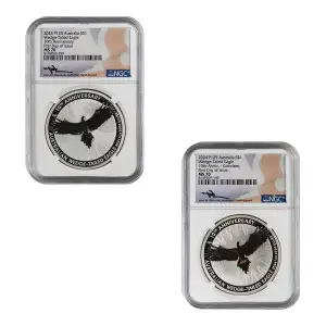 Australian Wedge-Tailed Eagle (5)