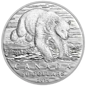 $50 2014 1/2 oz Silver Canada Polar Bear (3)