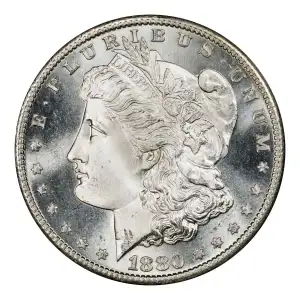 1880-S $1 (5)