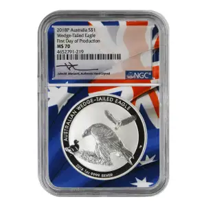 Australian Wedge-Tailed Eagle