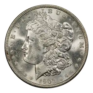Morgan Silver Dollar